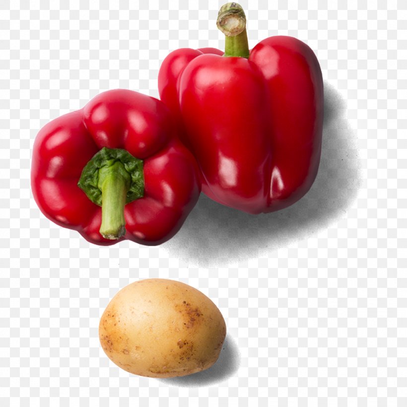 Bell Pepper Cayenne Pepper Chili Pepper Vegetable Food, PNG, 1024x1024px, Bell Pepper, Bell Peppers And Chili Peppers, Capsicum, Capsicum Annuum, Cayenne Pepper Download Free