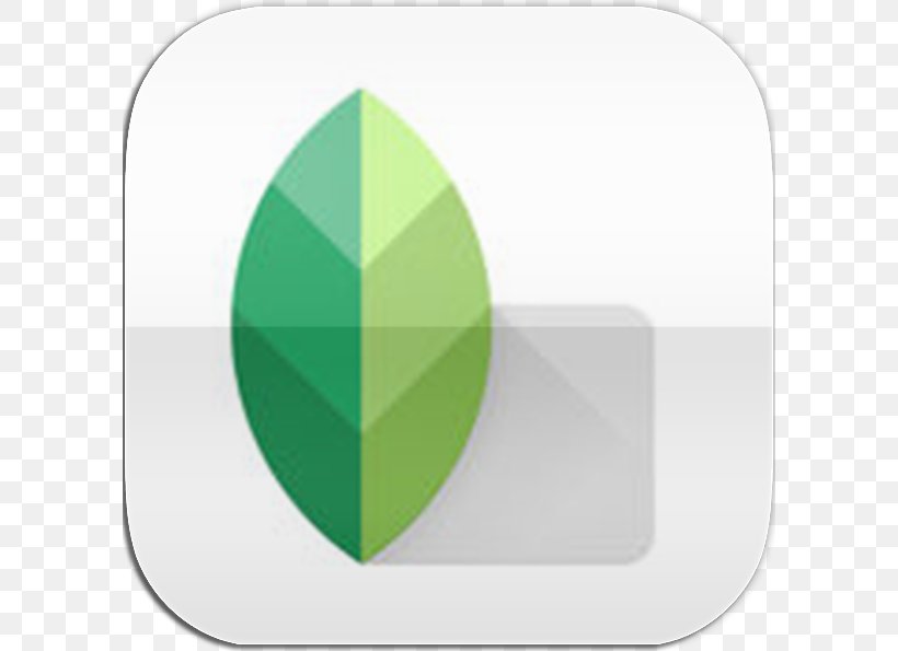 Green Brand Leaf, PNG, 596x595px, Green, Brand, Leaf Download Free