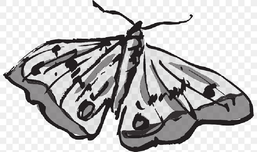 Monarch Butterfly Clip Art Vector Graphics, PNG, 800x486px, Monarch Butterfly, Blackandwhite, Bombycidae, Brimstones, Brushfooted Butterflies Download Free