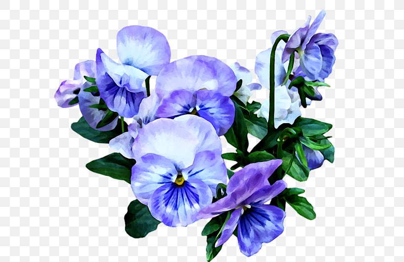 Pansy Poster Zazzle Quilt, PNG, 600x532px, Pansy, Annual Plant, Blue, Blume, Cut Flowers Download Free