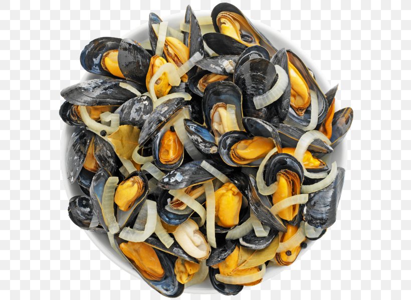 Blue Mussel Seafood Lobster, PNG, 600x600px, Mussel, Animal Source Foods, Blue Mussel, Canning, Clam Download Free