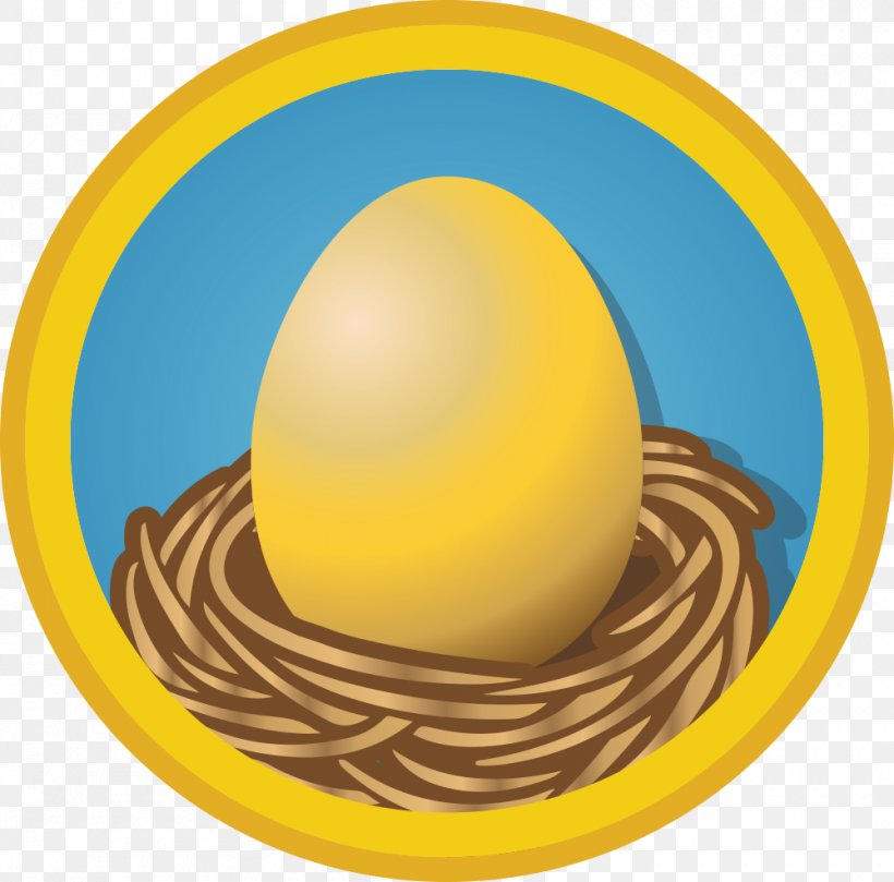 Egg Bird Nest AOL Wall Street Survivor, PNG, 1000x987px, Egg, Aol, Aol Mail, Bird, Bird Egg Download Free