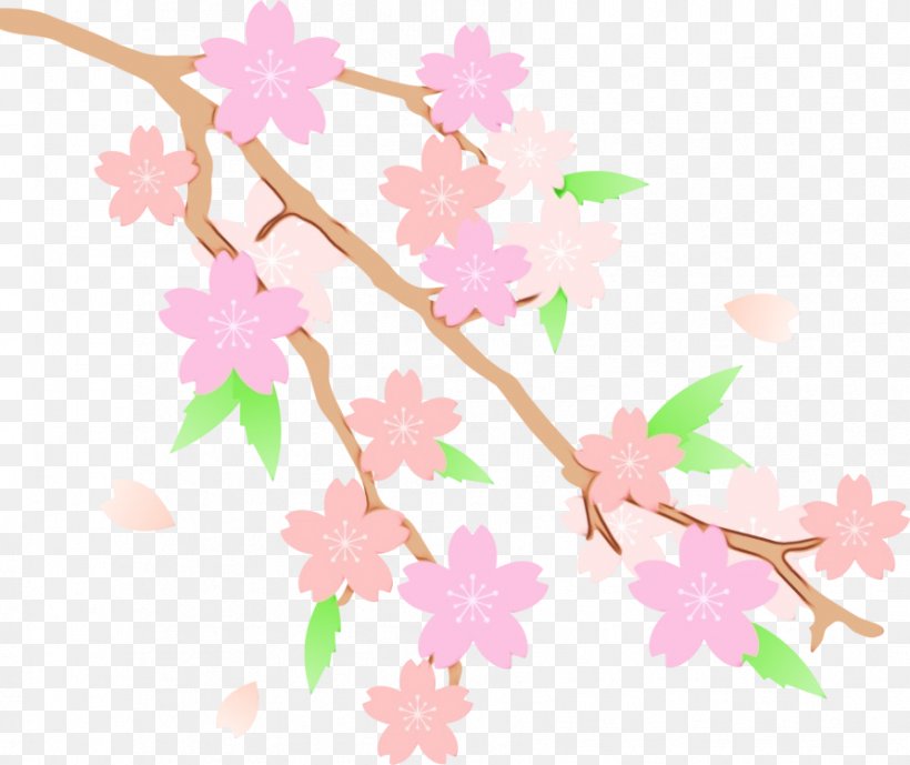 Floral Design Cat Chiba Prefecture Blossom, PNG, 892x750px, Floral Design, Blossom, Branch, Cat, Cherries Download Free