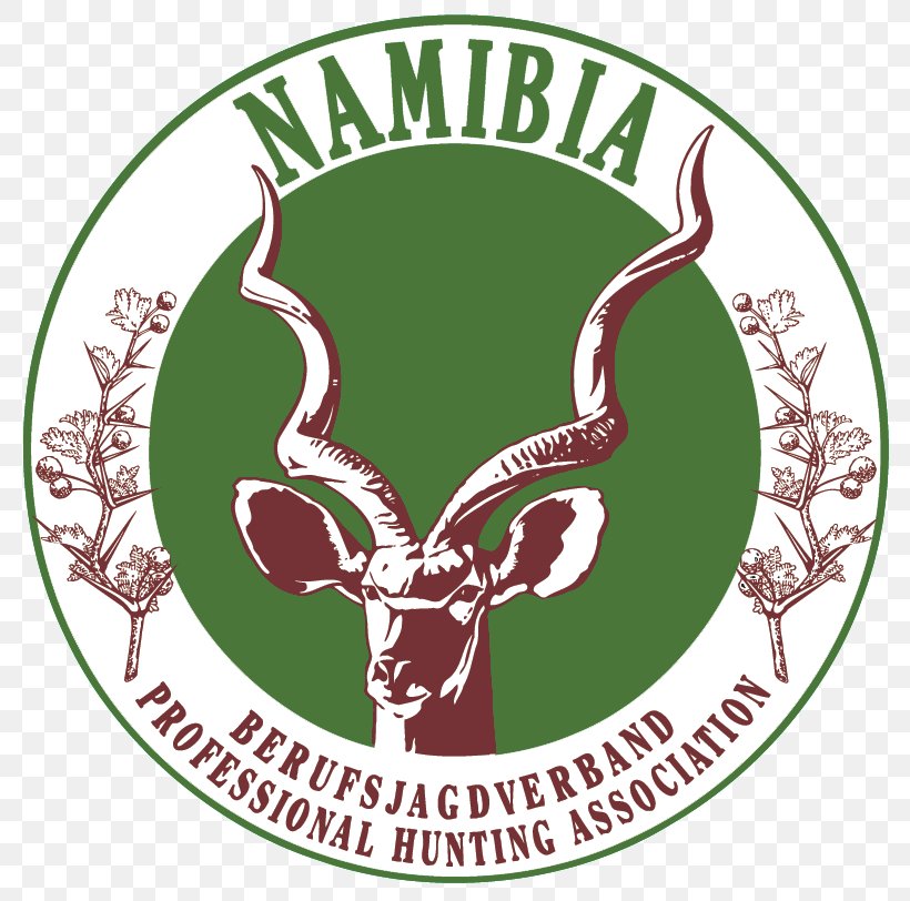 Hunting Omatako Constituency Safari Omatako Mountains Windhoek, PNG, 801x812px, Hunting, Africa, Antler, Brand, Deer Download Free
