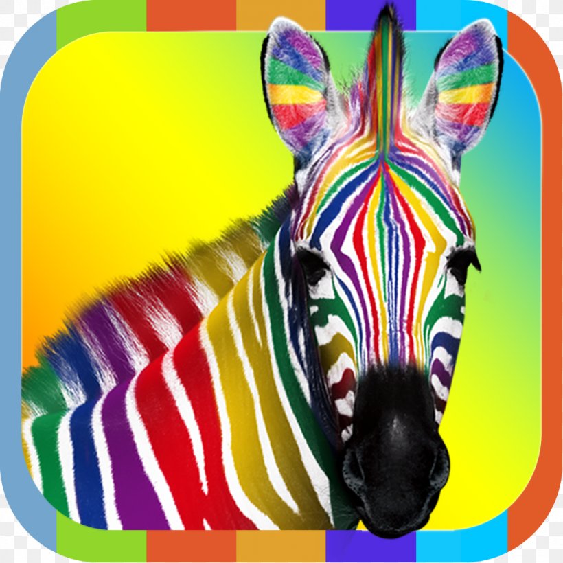 IPhone 4S Desktop Wallpaper Zebra Wallpaper, PNG, 1024x1024px, Iphone 4s, Computer Software, Horse Like Mammal, Iphone, Ipod Download Free