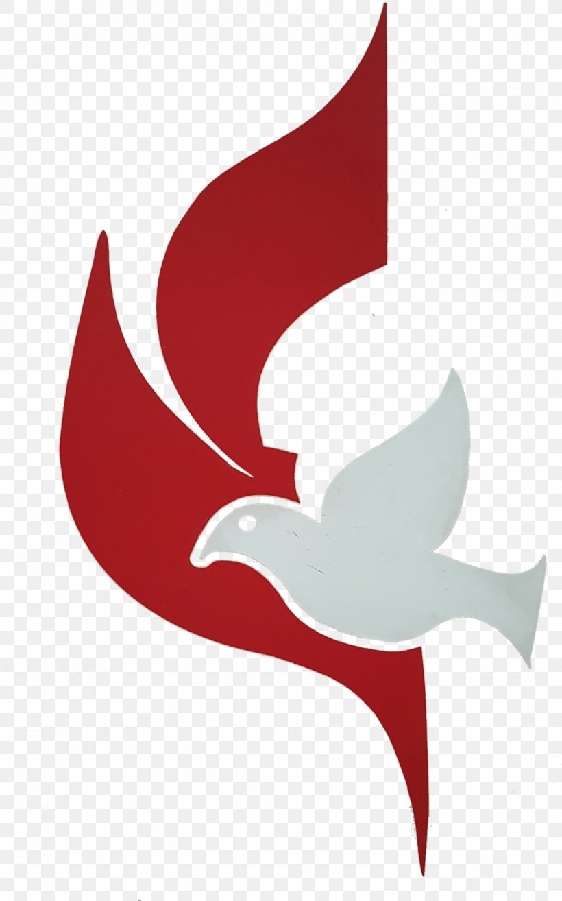 First United Methodist Church Worship Christianity God, PNG, 1492x2391px, First United Methodist Church, Christian Ministry, Christianity, Education, Fish Download Free