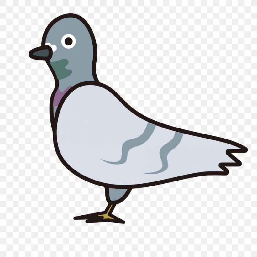 Mallard Pigeons And Doves Clip Art Animal Educational Flash Cards, PNG, 900x900px, Mallard, Age, Animal, Artwork, Beak Download Free