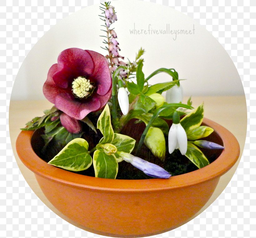 Floral Design Cut Flowers Flowerpot, PNG, 764x764px, Floral Design, Cut Flowers, Floristry, Flower, Flower Arranging Download Free