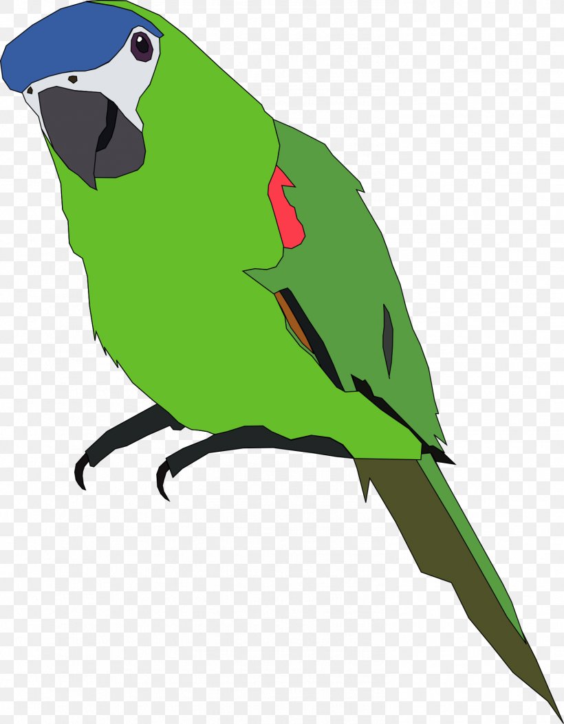 Parrot Budgerigar Clip Art Openclipart Bird, PNG, 1494x1920px, Parrot, Beak, Bird, Budgerigar, Common Pet Parakeet Download Free
