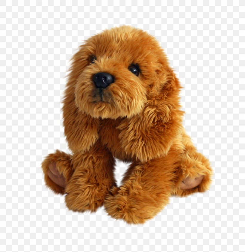 Dog Breed Puppy Toy Poodle Companion Dog, PNG, 882x907px, Dog Breed, Breed, Carnivoran, Companion Dog, Depositphotos Download Free