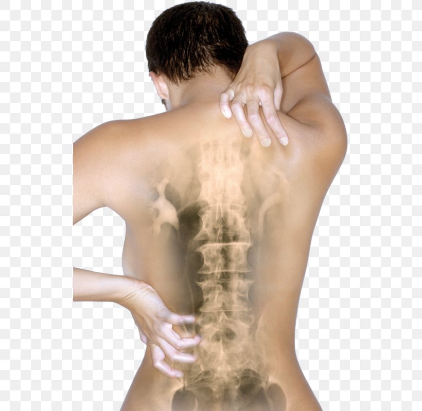 Osteochondrosis Vertebral Column Disease Mugurkaula Osteohondroze Pain, PNG, 535x800px, Watercolor, Cartoon, Flower, Frame, Heart Download Free