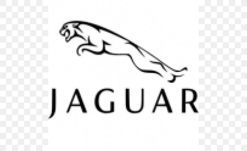 Jaguar Cars Auto Show Land Rover Luxury Vehicle, PNG, 800x500px, Jaguar Cars, Area, Auto Mechanic, Auto Show, Automobile Repair Shop Download Free