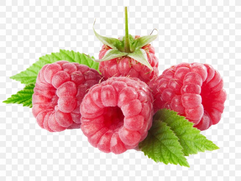 Raspberry Fruit Clip Art, PNG, 1280x963px, Raspberry, Berry, Black Raspberry, Food, Fruit Download Free