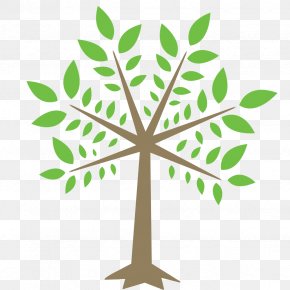 Aguilar Plant Care Business Arborist Wetumpka Tree Health PNG