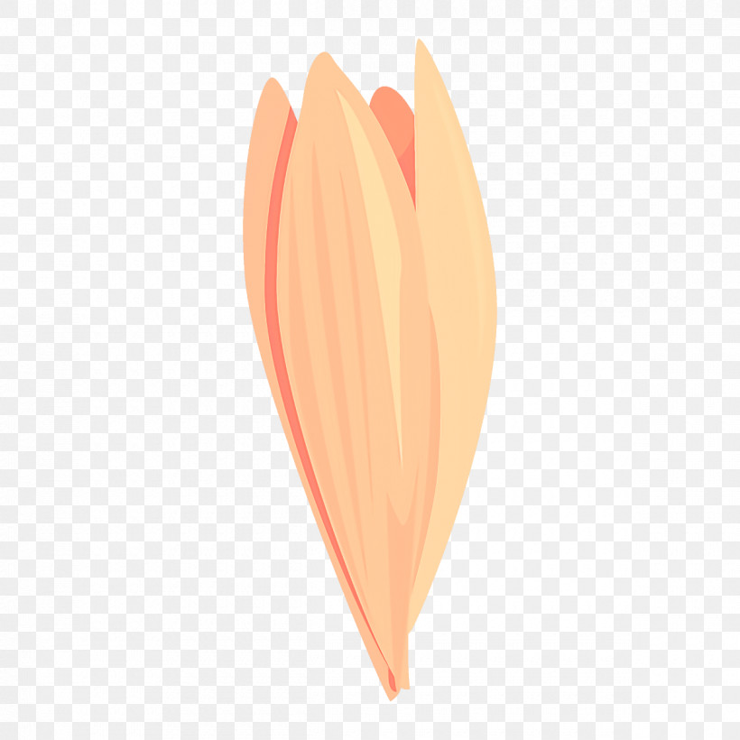 Feather, PNG, 1200x1200px, Leaf, Feather, Flower, Peach, Petal Download Free