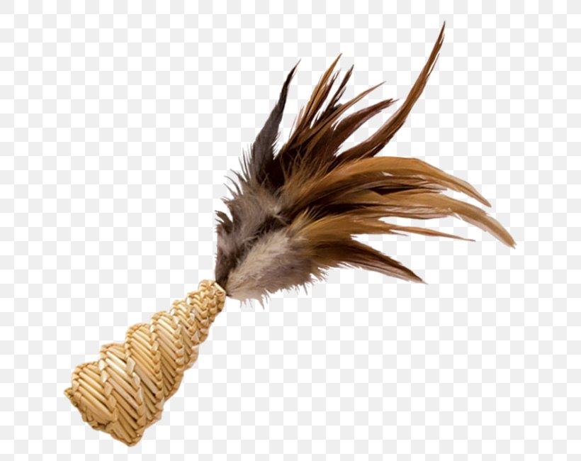 Feather PhotoScape YouTube Tail, PNG, 650x650px, Feather, Animation, Blog, Gimp, Photoscape Download Free