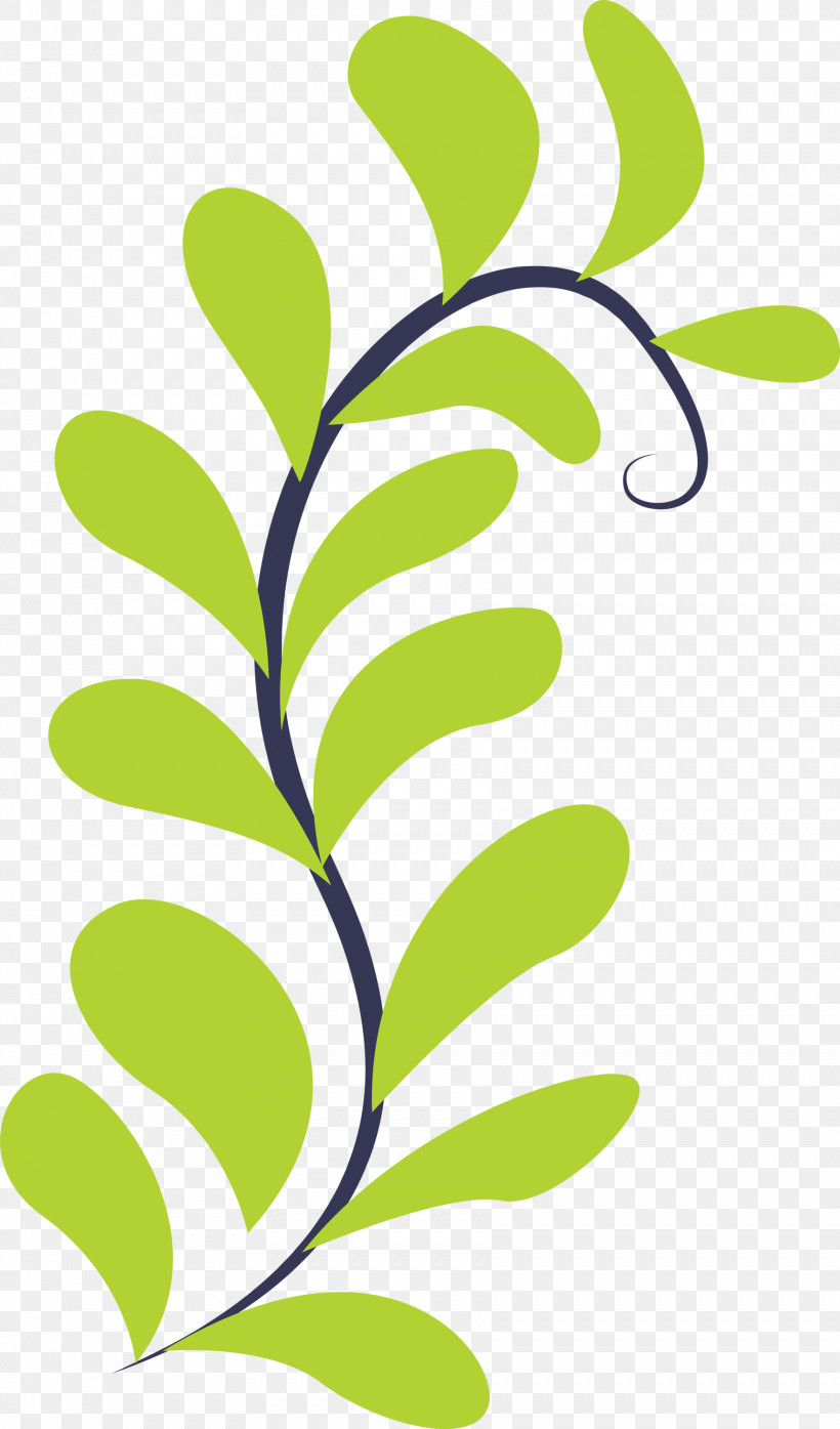Plant Stem Leaf Green Flower Text, PNG, 1763x3000px, Plant Stem, Area, Biology, Flower, Green Download Free