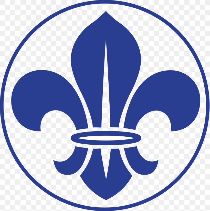 Scouting World Organization Of The Scout Movement World Scout Emblem ...