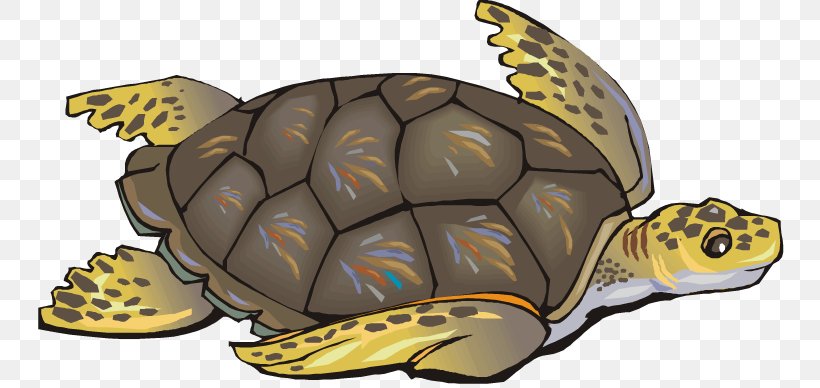 Green Sea Turtle Reptile Clip Art, PNG, 750x388px, Turtle, Box Turtle, Common Snapping Turtle, Drawing, Emydidae Download Free