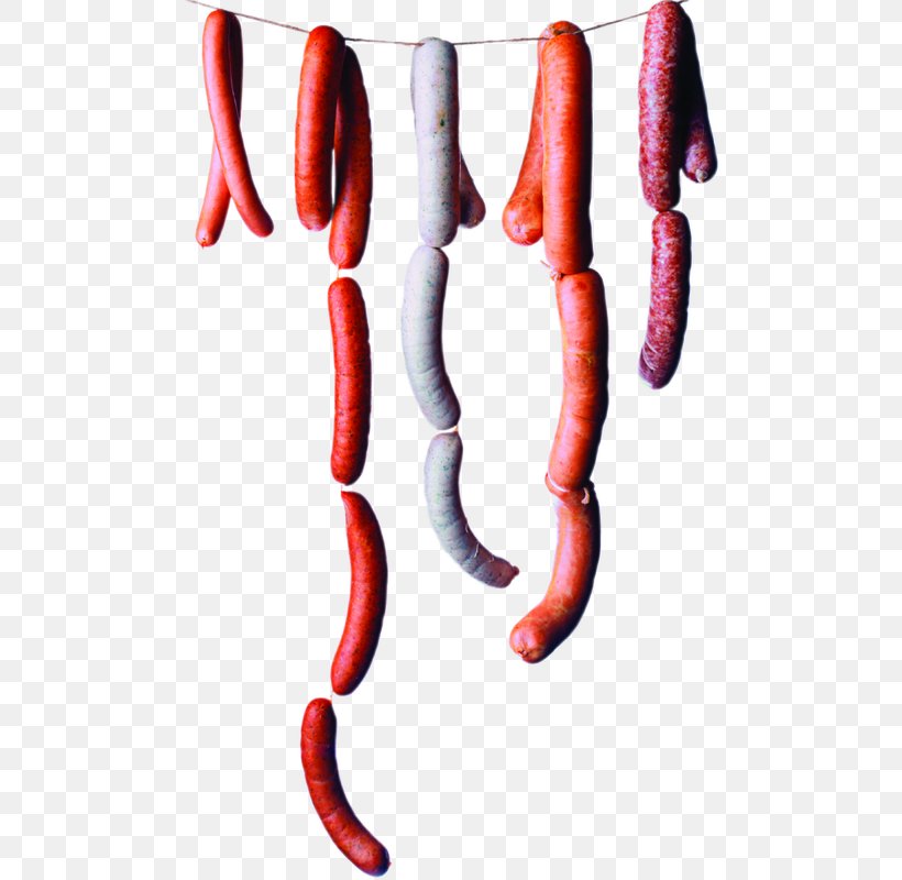 Hot Dog Corn Dog Sausage Meat Ingredient, PNG, 490x800px, Hot Dog, Beef, Corn Dog, Food, Ingredient Download Free
