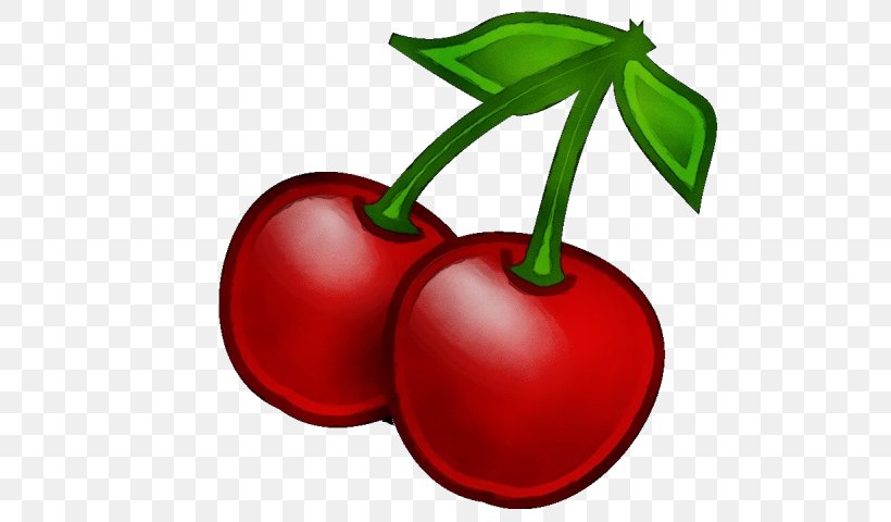 Plant Fruit Cherry Natural Foods Red, PNG, 640x480px, Watercolor, Cherry, Flower, Flowering Plant, Food Download Free