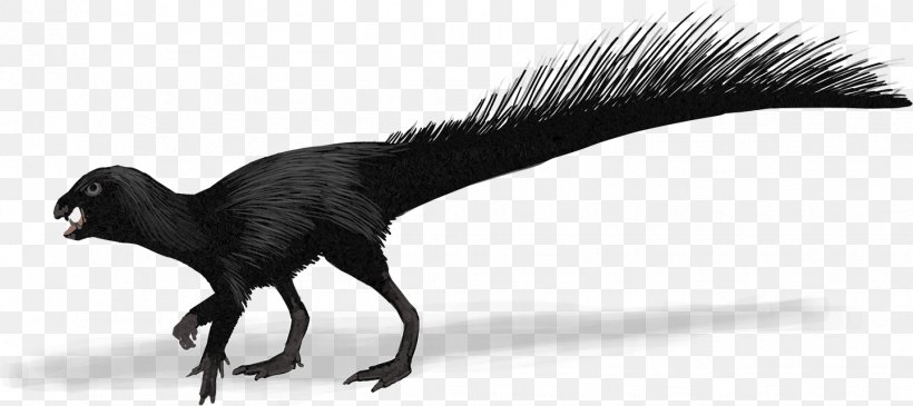 Heterodontosaurus Evolution Canidae History Future, PNG, 1441x642px, Heterodontosaurus, Bipedalism, Black And White, Canidae, Carnivoran Download Free