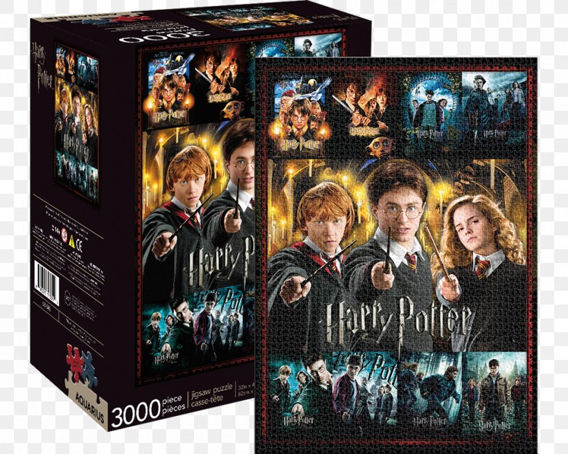Jigsaw Puzzles Harry Potter Hogwarts Express Hermione Granger, PNG, 1000x800px, Jigsaw Puzzles, Accio, Dvd, Film, Game Download Free