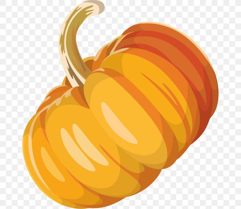 Pumpkin Calabaza Winter Squash, PNG, 668x711px, Pumpkin, Calabaza, Cauliflower, Cucurbita, Drawing Download Free