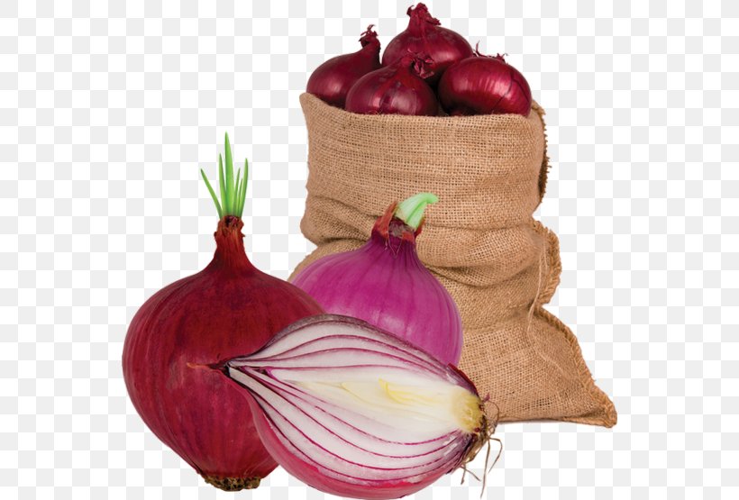 Red Onion Shallot Vegetable Food Garlic, PNG, 550x555px, Red Onion, Beet, Beetroot, Food, Fruit Download Free
