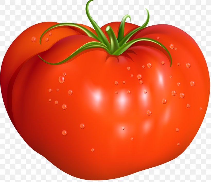 Tomato Red Illustration, PNG, 1500x1297px, Tomato, Apple, Bush Tomato, Chinese Cabbage, Diet Food Download Free
