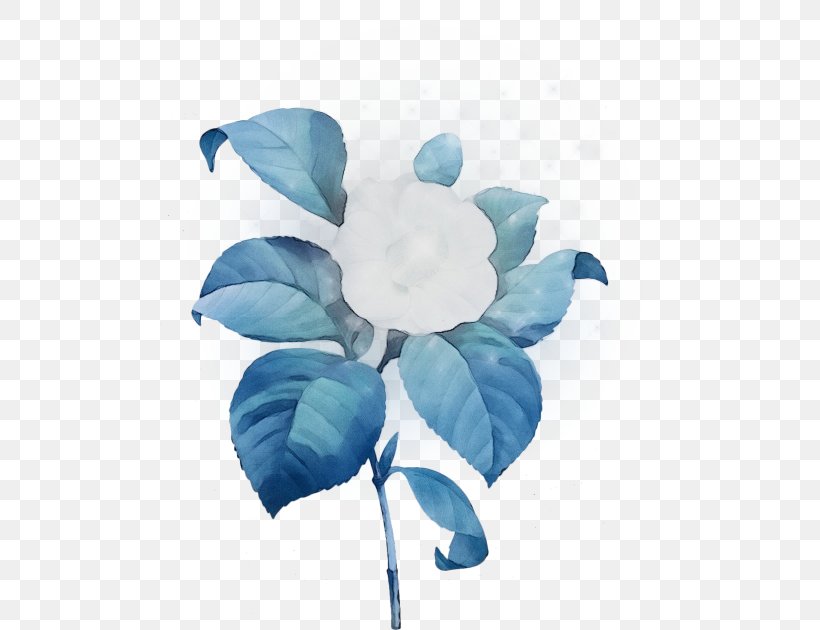 Blue Turquoise Leaf Aqua Petal, PNG, 500x630px, Watercolor, Aqua, Blue, Flower, Leaf Download Free