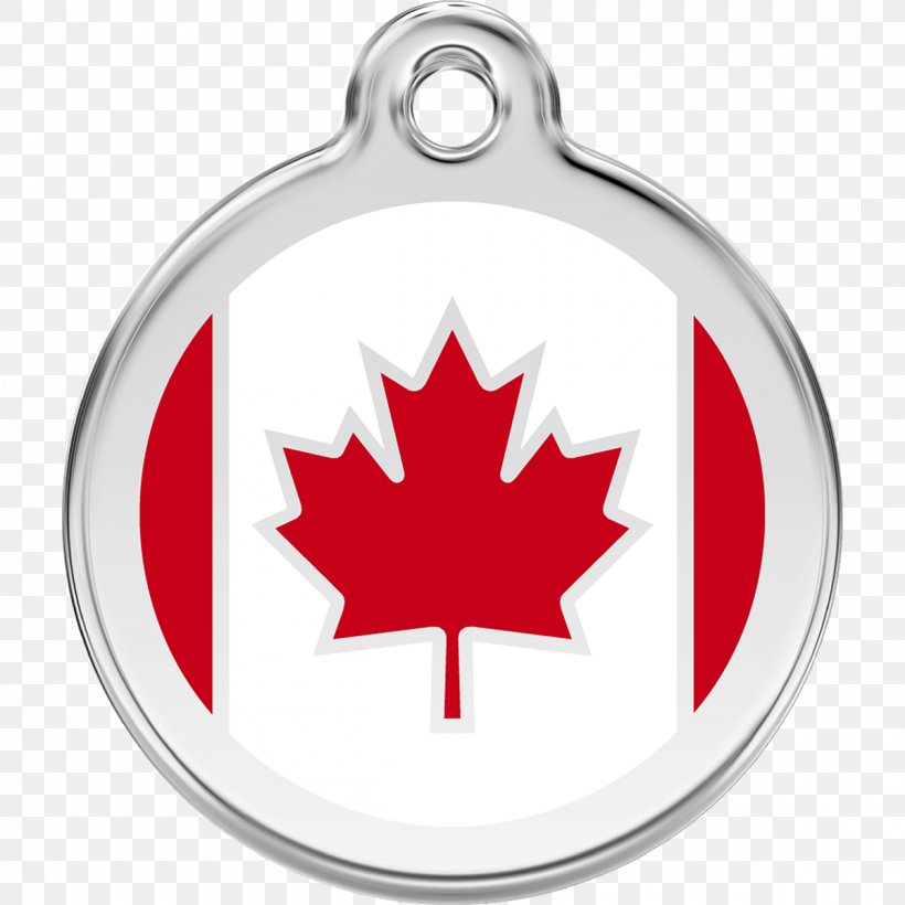Dingo Dog Cat Pet Tag Flag Of Canada, PNG, 1200x1200px, Dingo, Body Jewelry, Canada, Cat, Collar Download Free