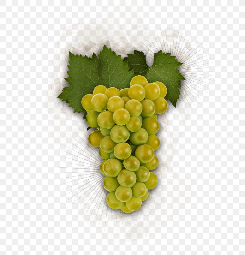 Grape Chardonnay Pinot Gris Pinot Noir Riesling, PNG, 663x853px, Grape, Burgundy Wine, Chardonnay, Common Grape Vine, Food Download Free