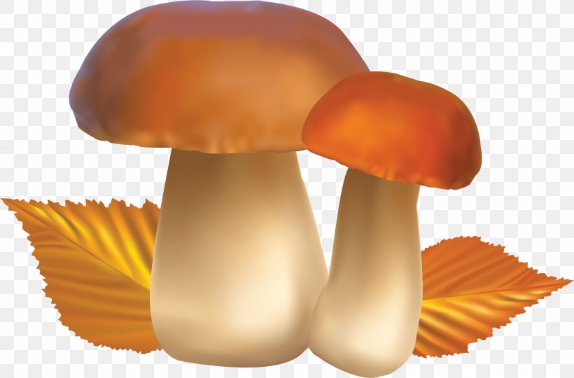 Mushroom Clip Art, PNG, 3569x2352px, Junk Food, Art, Diet, Edible Mushroom, Food Download Free