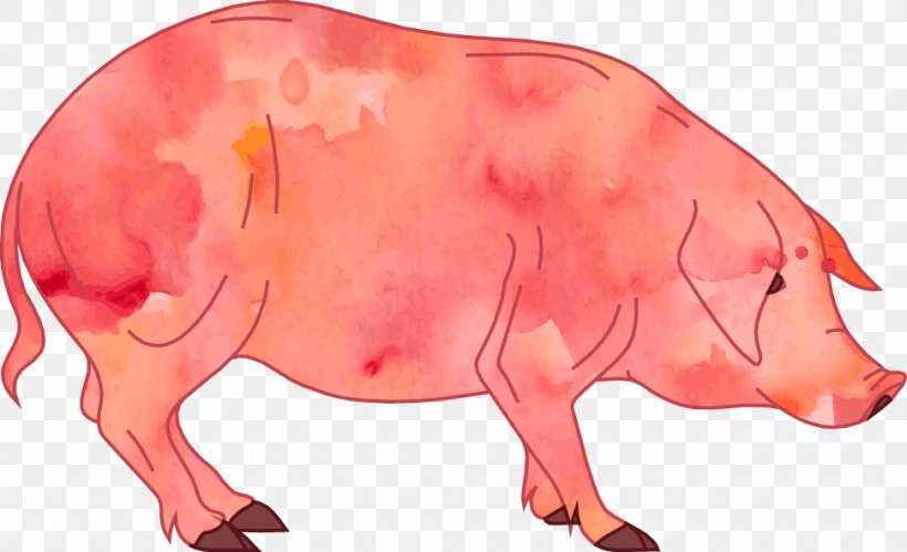 Pig Cartoon Clip Art, PNG, 971x592px, Pig, Cartoon, Cattle Like Mammal, Comics, Livestock Download Free