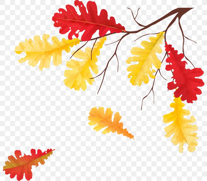 Yellow Leaf Plant Tree Clip Art, PNG, 800x718px, Yellow, Flower, Leaf, Plant, Tree Download Free