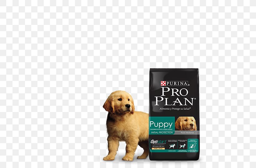 Golden Retriever Puppy Dog Breed Nestlé Purina PetCare Company Companion Dog, PNG, 540x540px, Golden Retriever, Breed, Carnivoran, Companion Dog, Dog Download Free