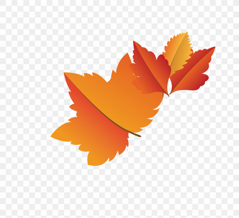 Maple Leaf, PNG, 3000x2740px, Autumn Leaf, Biology, Cartoon Leaf, Fall Leaf, Leaf Download Free