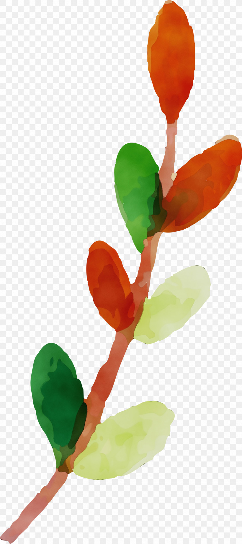 Plant Stem Leaf Bud Plants Plant Structure, PNG, 1337x3000px, Watercolor Autumn, Biology, Bud, Leaf, Paint Download Free
