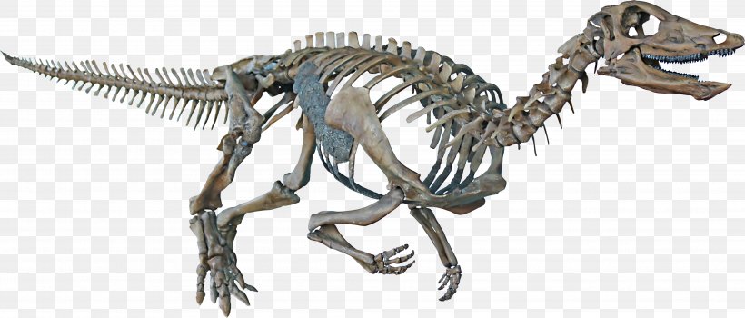 Thescelosaurus Velociraptor Hell Creek Formation Tyrannosaurus Late Cretaceous, PNG, 4196x1791px, Thescelosaurus, Animal, Animal Figure, Centimeter, Cretaceous Download Free