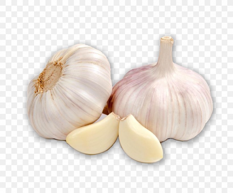 Garlic Organic Food Cooking Vegetable Herb, PNG, 1000x827px, Garlic, Allicin, Chipotle, Cooking, Elephant Garlic Download Free