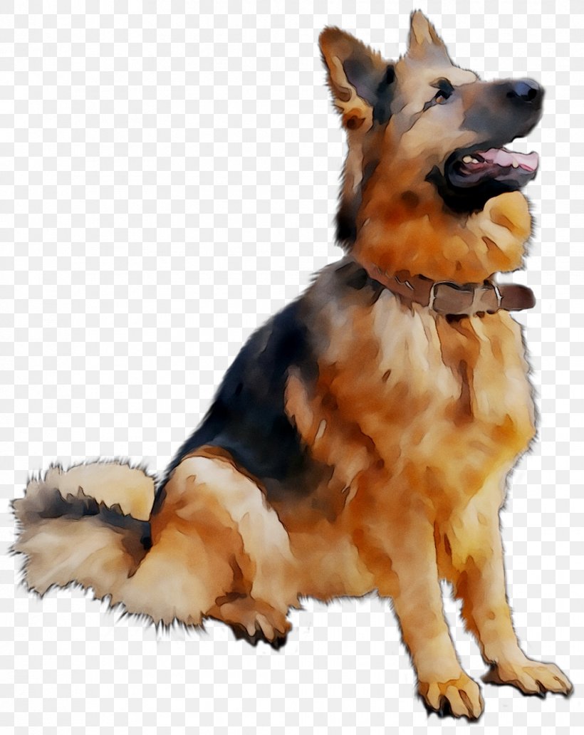 German Shepherd Golden Retriever Puppy Clip Art, PNG, 1016x1279px, German Shepherd, Ancient Dog Breeds, Bohemian Shepherd, Canidae, Carnivore Download Free