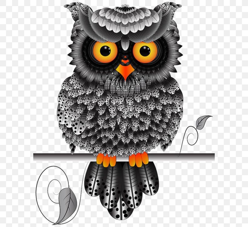 Bird Northern White-faced Owl Illustration Southern White-faced Owl Image, PNG, 600x752px, Bird, Barn Owl, Bird Of Prey, Eastern Screech Owl, Great Grey Owl Download Free