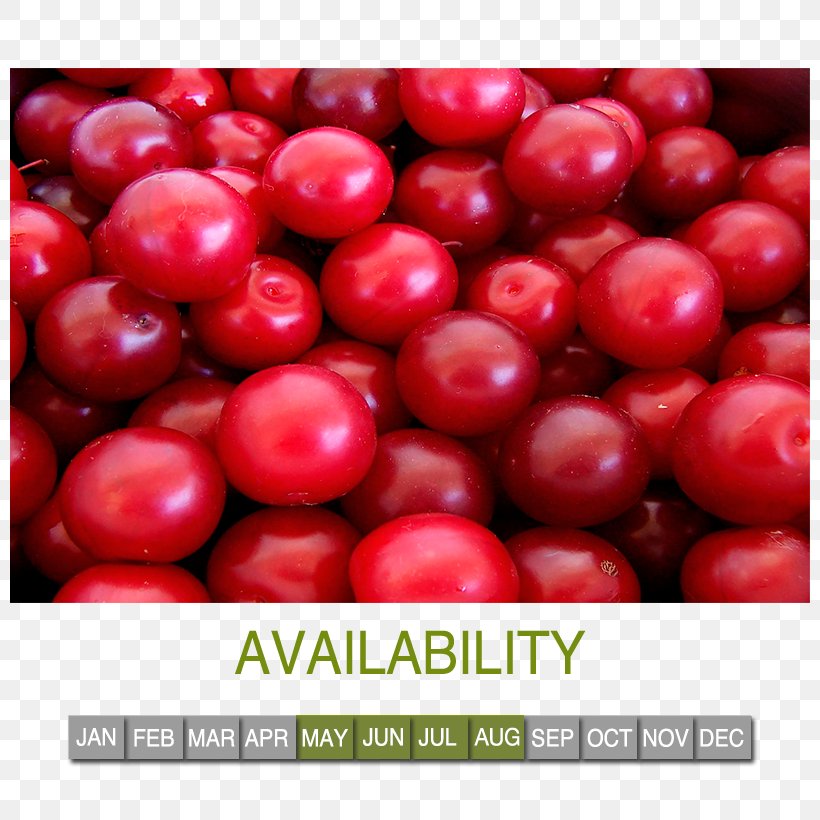 Cherry Plum Apricot Rosaceae, PNG, 800x820px, Cherry Plum, Acerola, Acerola Family, Almond, Apple Download Free