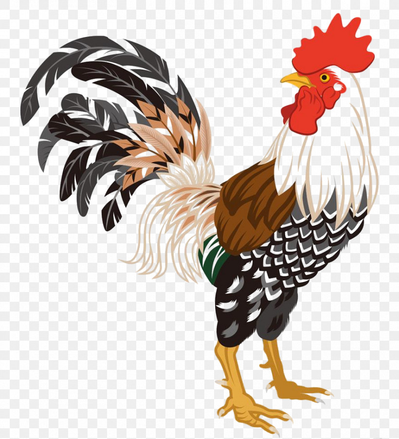 Chicken Bird Rooster Comb Beak, PNG, 883x972px, Chicken, Beak, Bird, Comb, Fowl Download Free