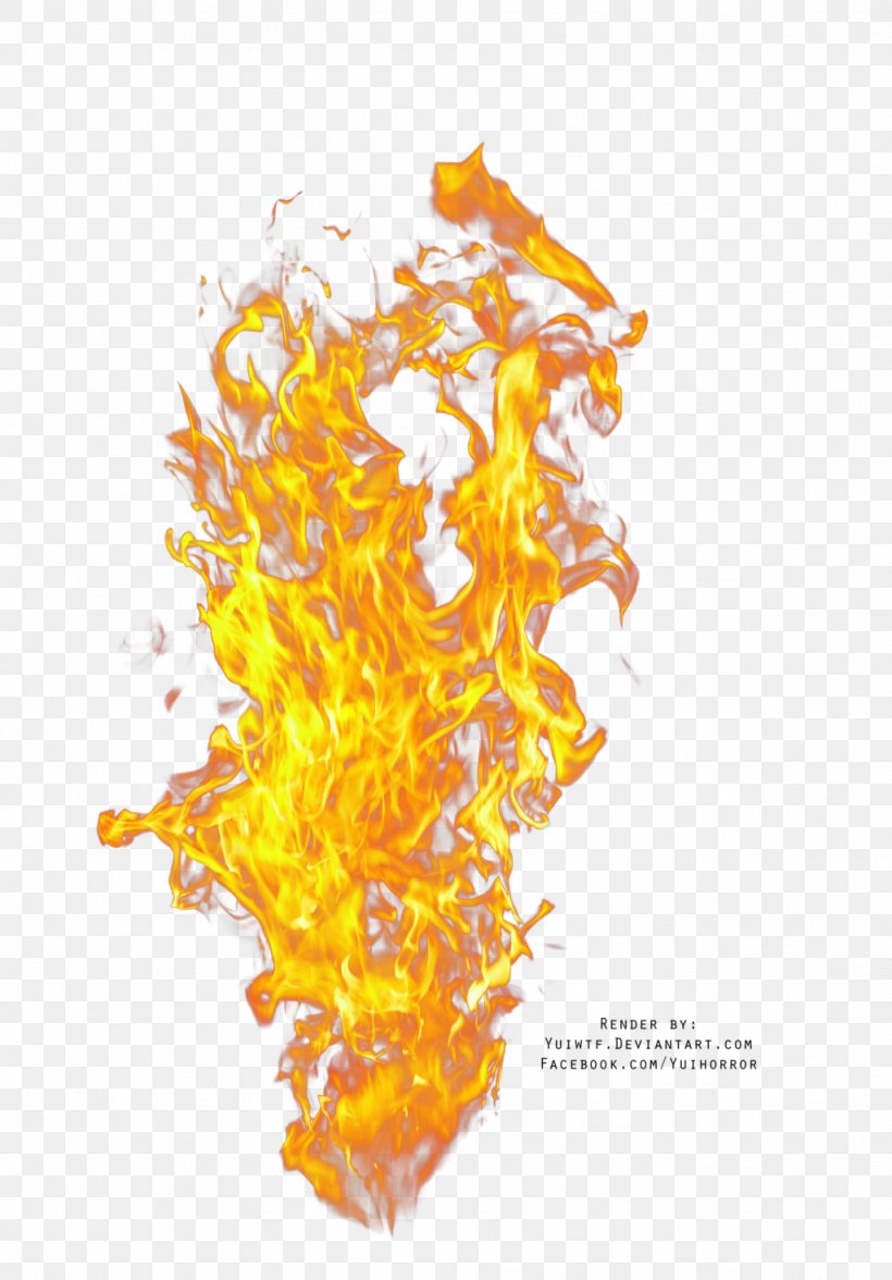 Fire Flame Download Rendering, PNG, 1024x1469px, Fire, Conflagration, Flame, Lossless Compression, Orange Download Free