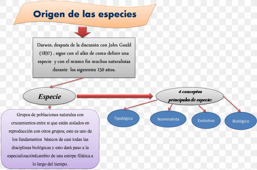 On The Origin Of Species Biology Natural Selection Darwinism, PNG, 1600x1062px, On The Origin Of Species, Area, Biology, Calcium, Calcium Carbonate Download Free