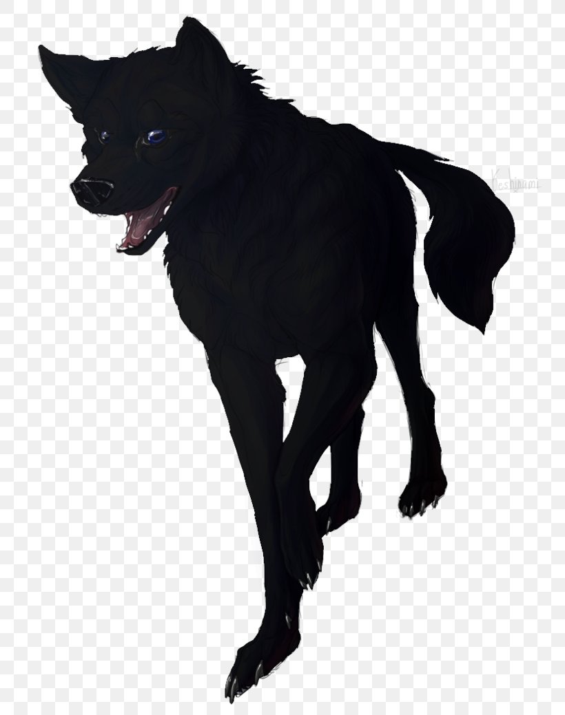 Schipperke Dog Breed Snout Fur, PNG, 769x1039px, Schipperke, Black, Breed, Carnivoran, Character Download Free