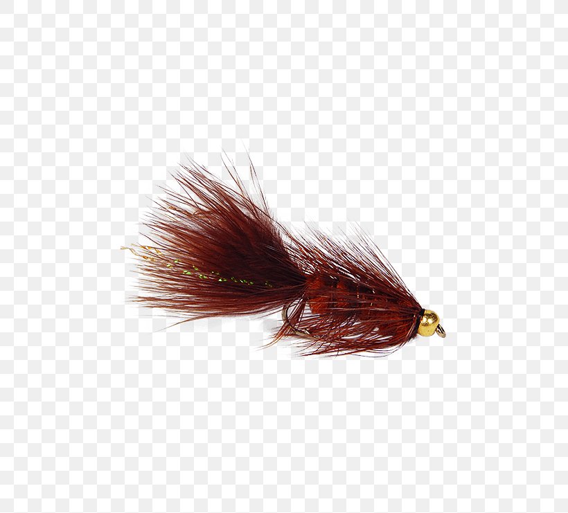Woolly Bugger Artificial Fly Insect Fly Fishing, PNG, 555x741px, Bugger, Artificial Fly, Fly, Fly Fishing, Gin Download Free