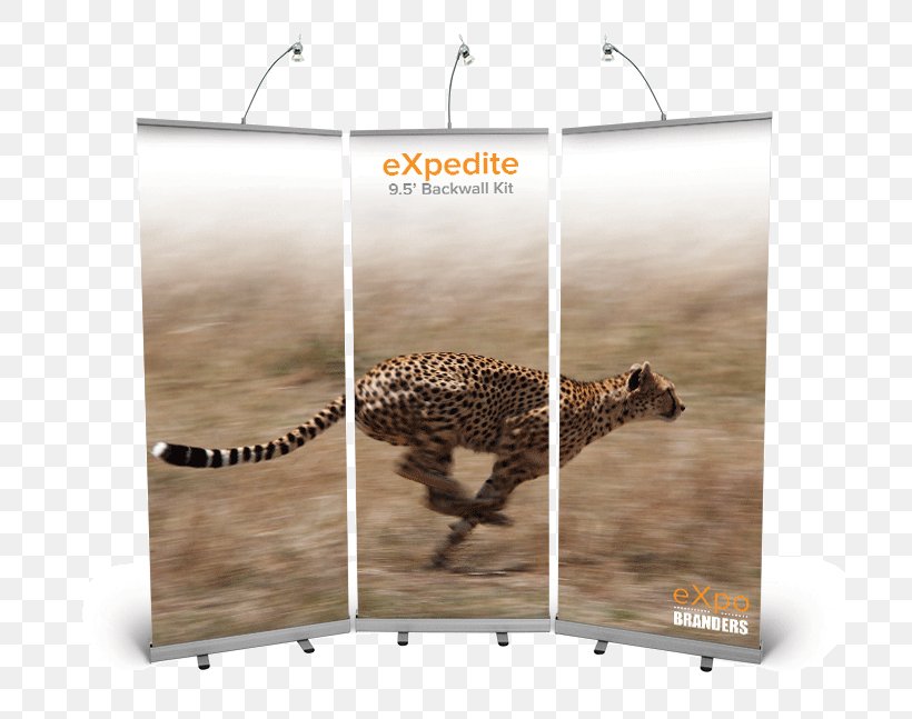 Cheetah Leopard Jaguar Cat Cougar, PNG, 700x647px, Cheetah, Advertising, Animal, Banner, Brand Download Free